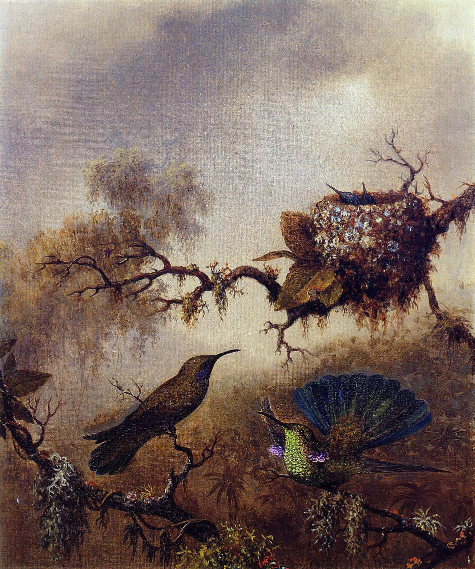Martin Johnson Heade White-Vented Violet-Eared - Hand Painted Oil Painting