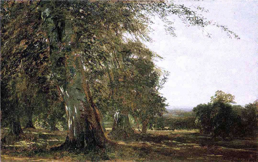 John Frederick Kensett Windsow Woods - Hand Painted Oil Painting