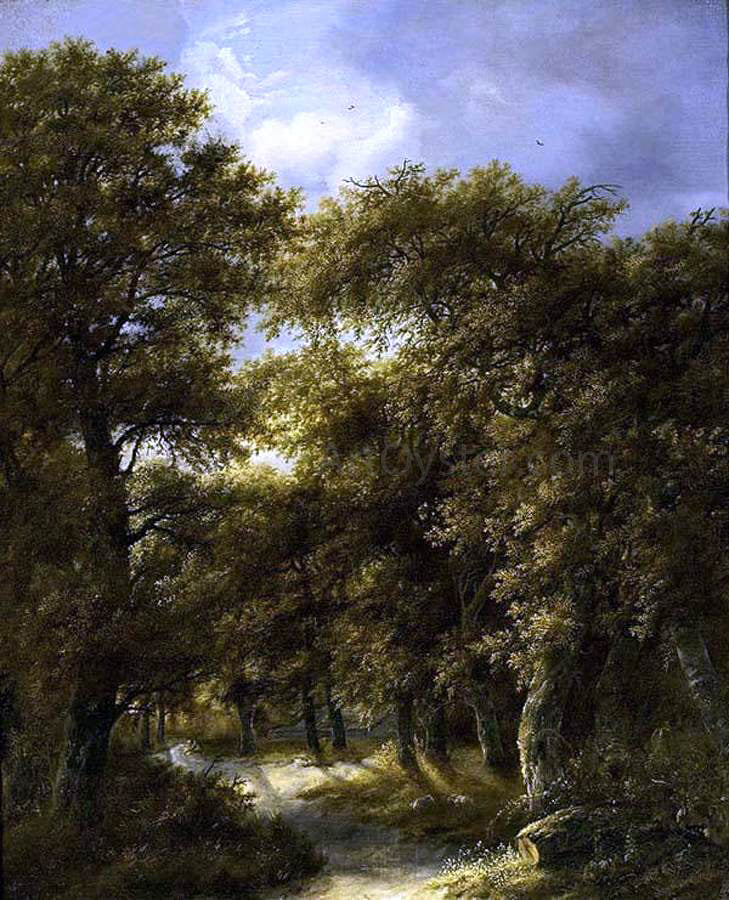  Gillis Rombouts Wooded Landscape - Hand Painted Oil Painting