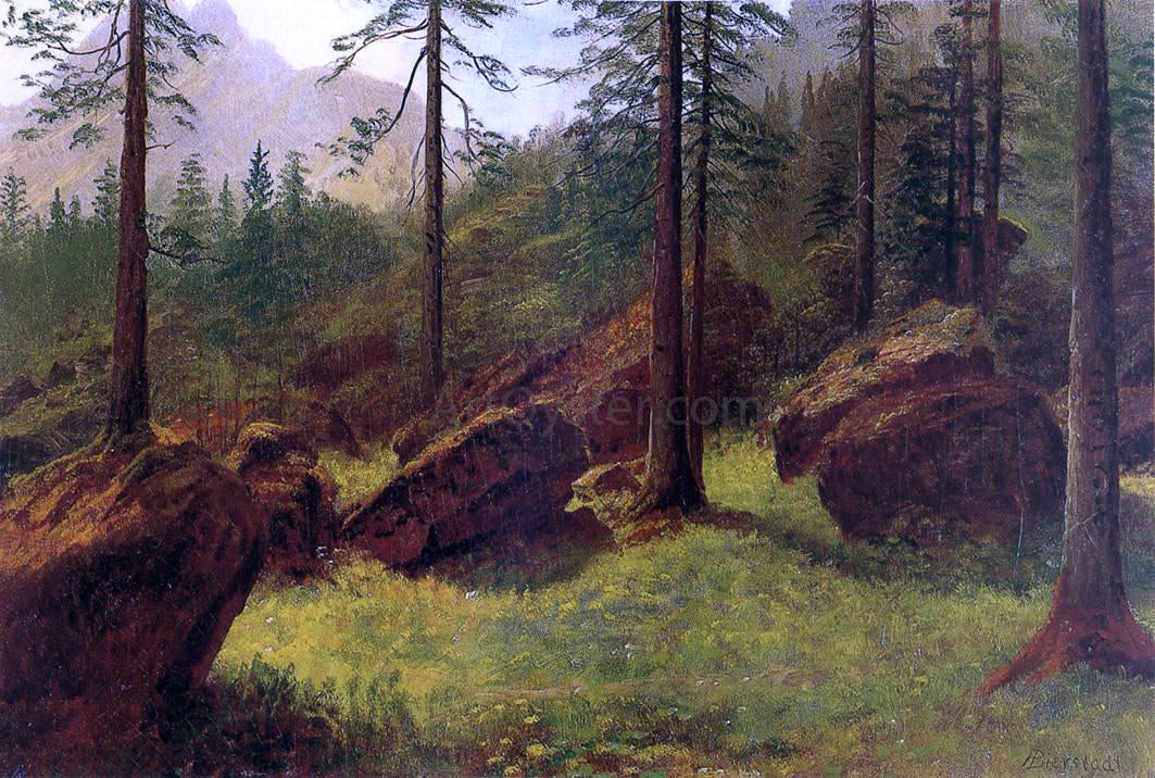 Albert Bierstadt Wooded Landscape - Hand Painted Oil Painting