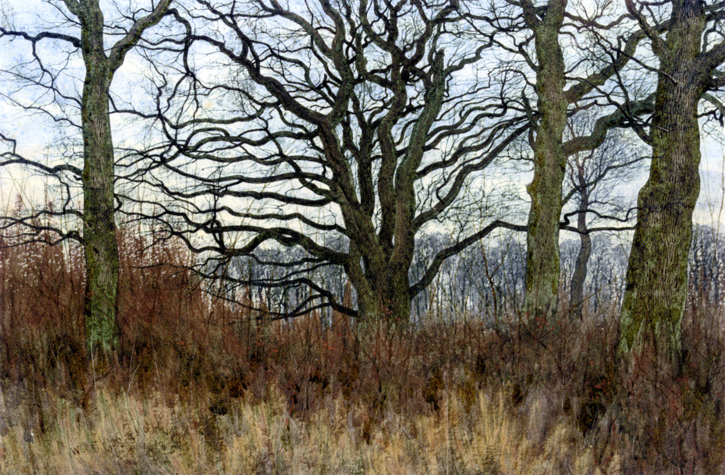 William Fraser Garden Woodland Scene at Twilight - Hand Painted Oil Painting