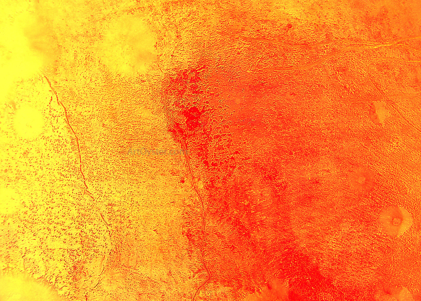 Our Original Collection Yellow and Orange in Harmony - Hand Painted Oil Painting