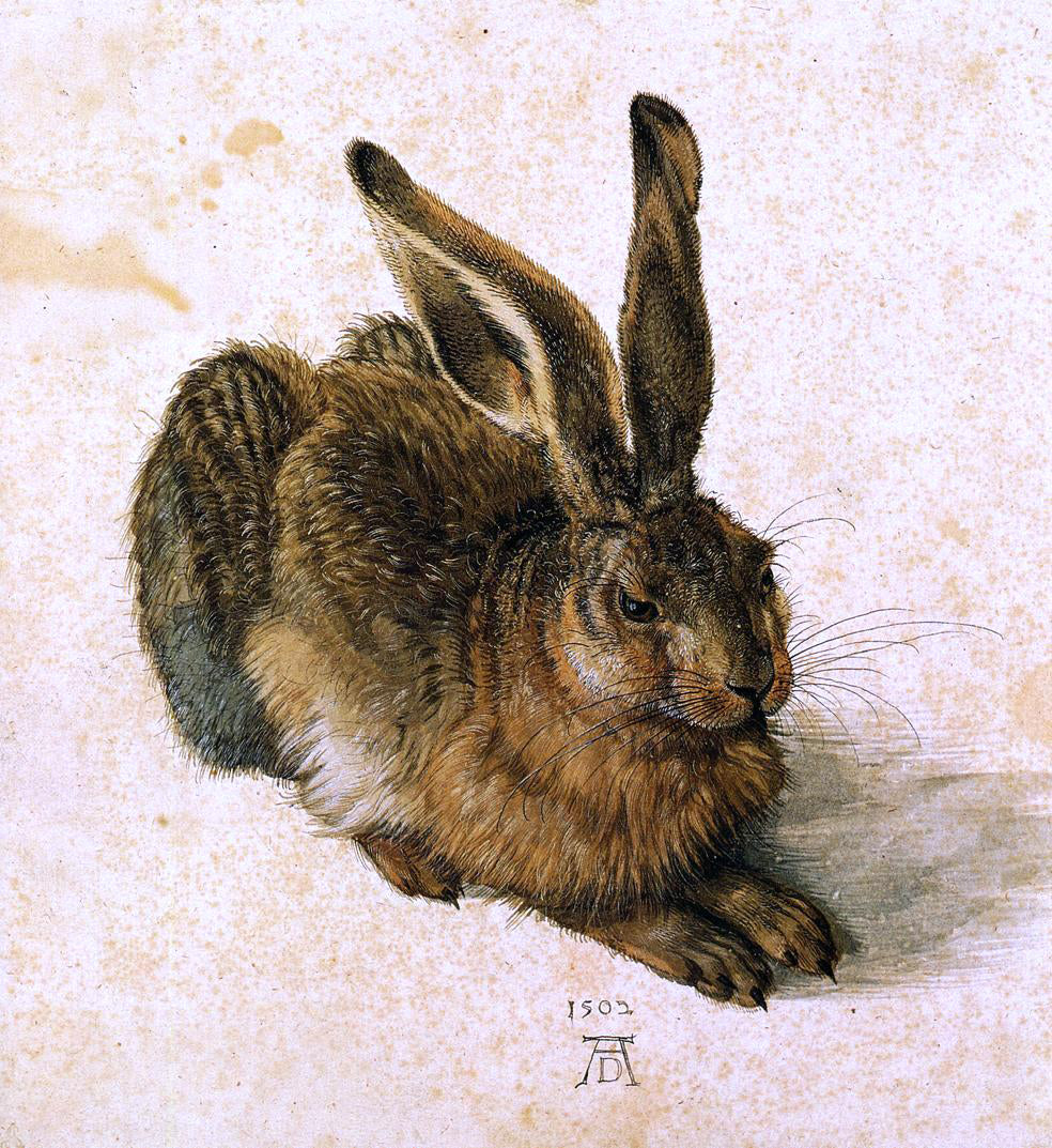 Albrecht Durer A Young Hare - Hand Painted Oil Painting