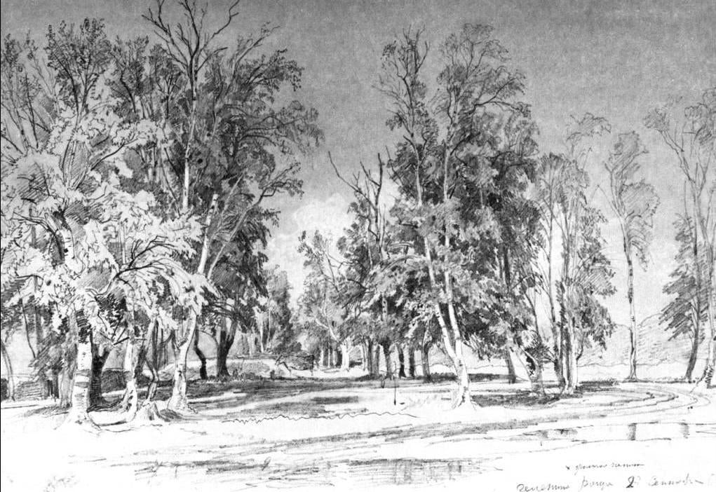 Ivan Ivanovich Shishkin Zelenin's grove - Hand Painted Oil Painting