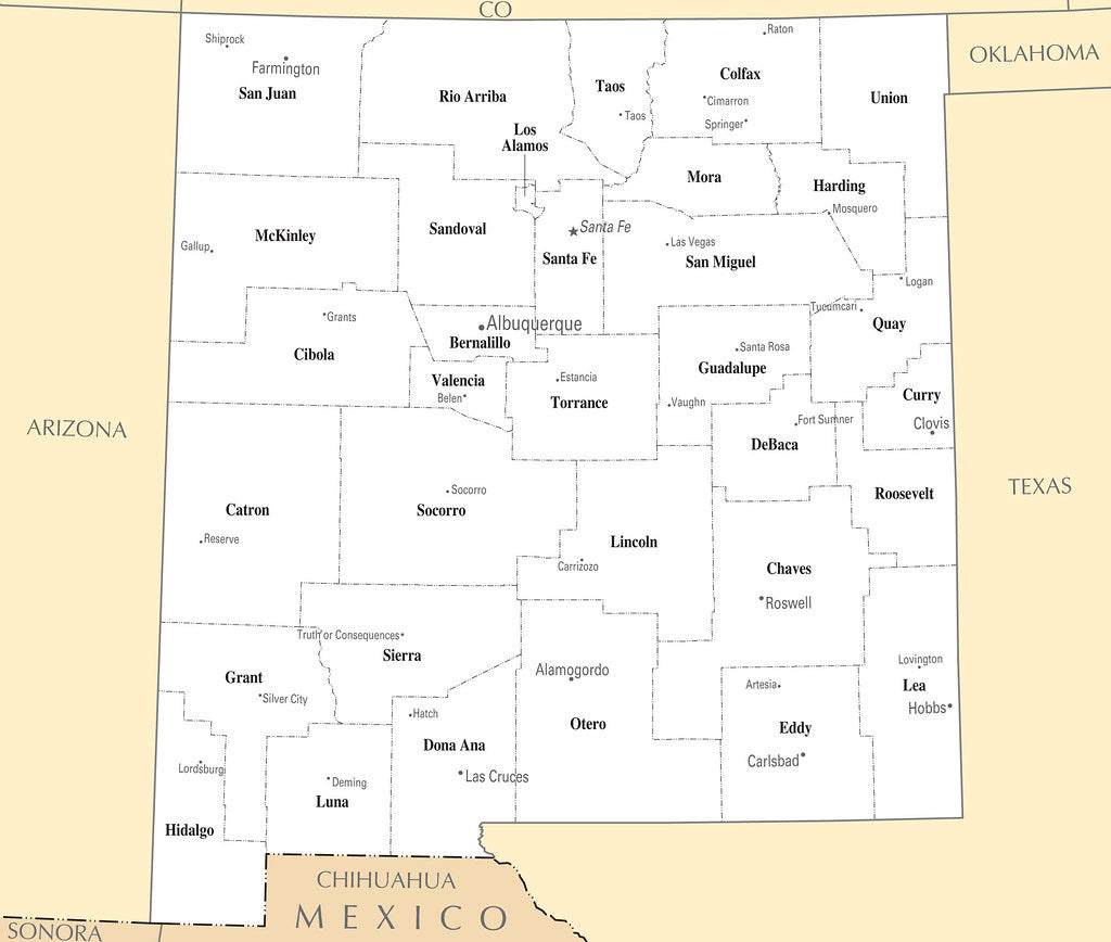 Map of New Mexico NM - County Map with selected Cities and Towns Framed Push Pin Map