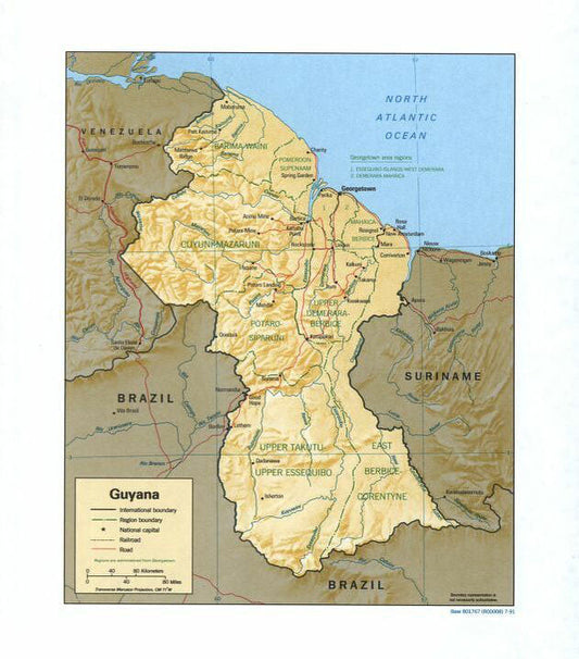 Map of Guyana Framed Push Pin Map