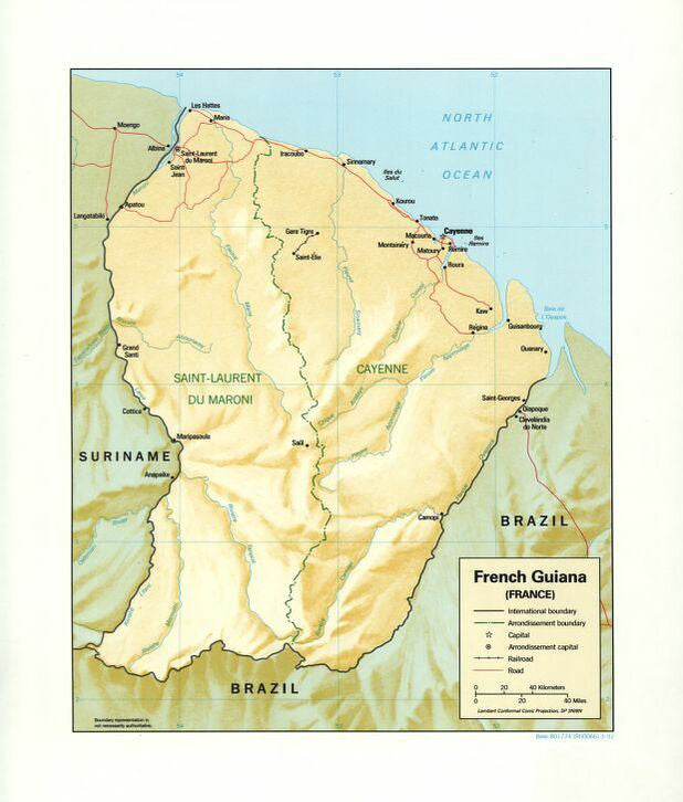 Map of French Guiana Framed Push Pin Map