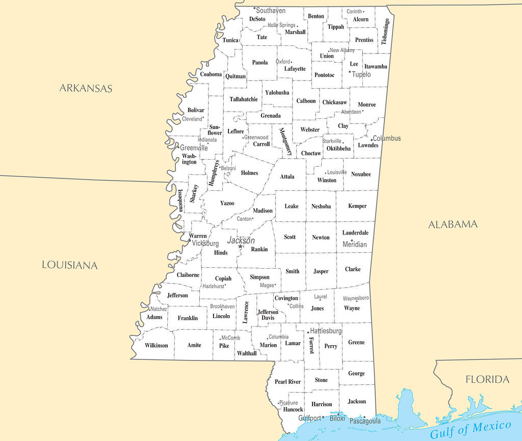 Map of Mississippi MS - County Map with selected Cities and Towns Framed Push Pin Map