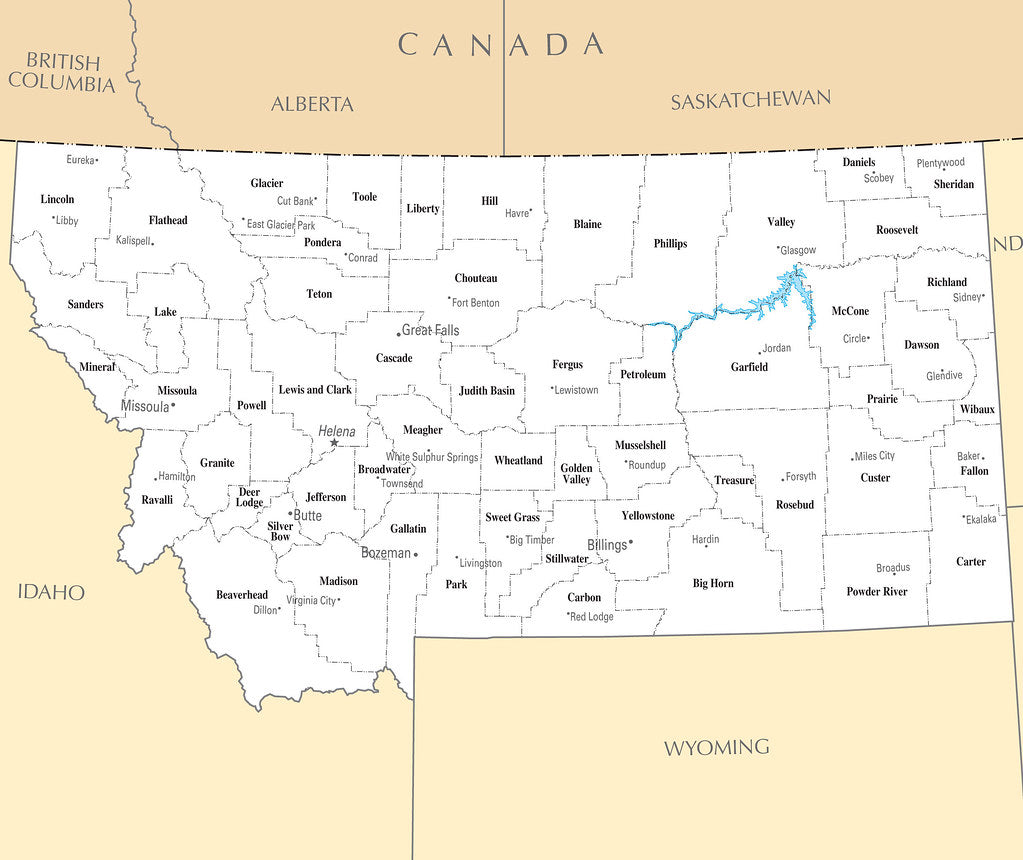 Map of Montana MT - County Map with selected Cities and Towns Framed Push Pin Map