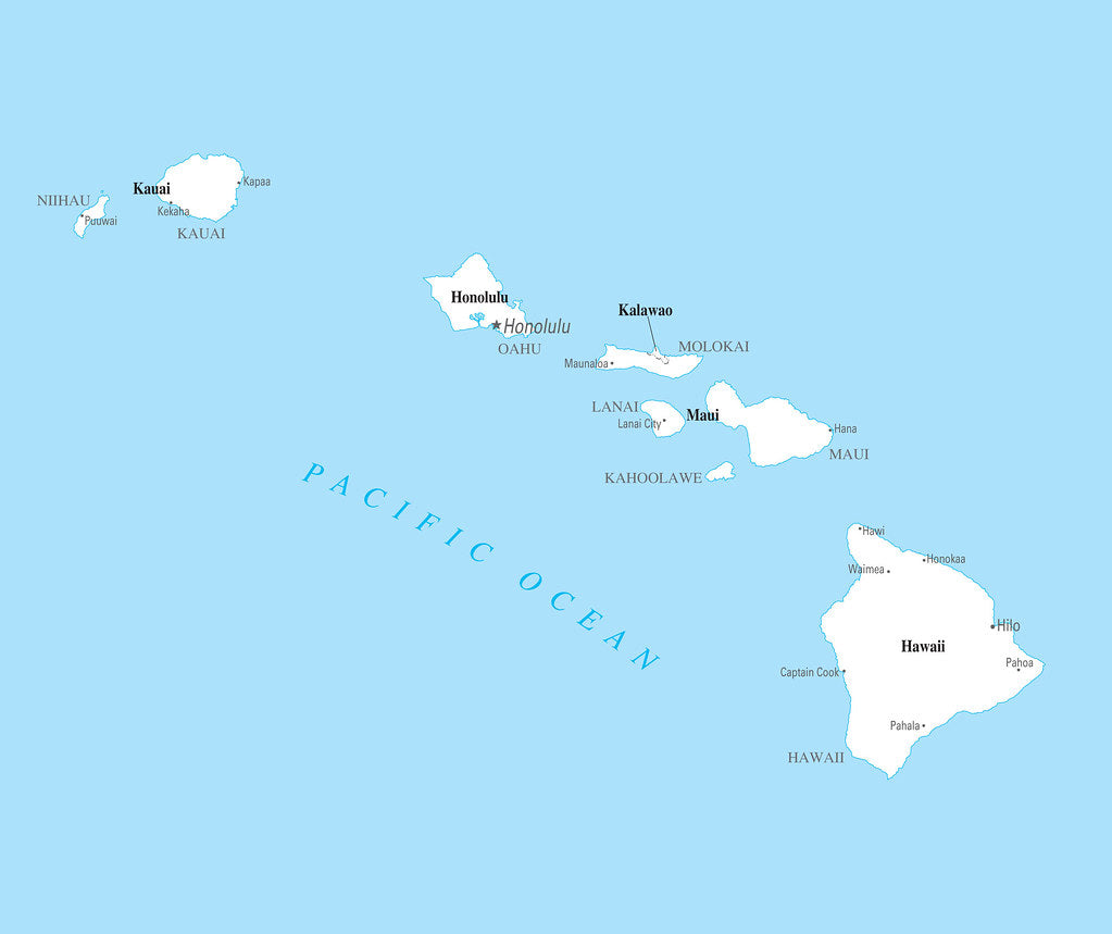 Map of Hawaii HI - County Map with selected Cities and Towns Framed Push Pin Map