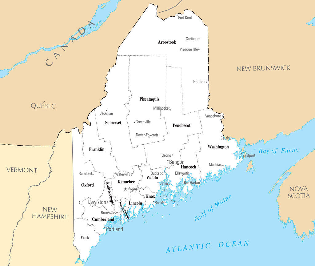 Map of Maine ME - County Map with selected Cities and Towns Framed Push Pin Map