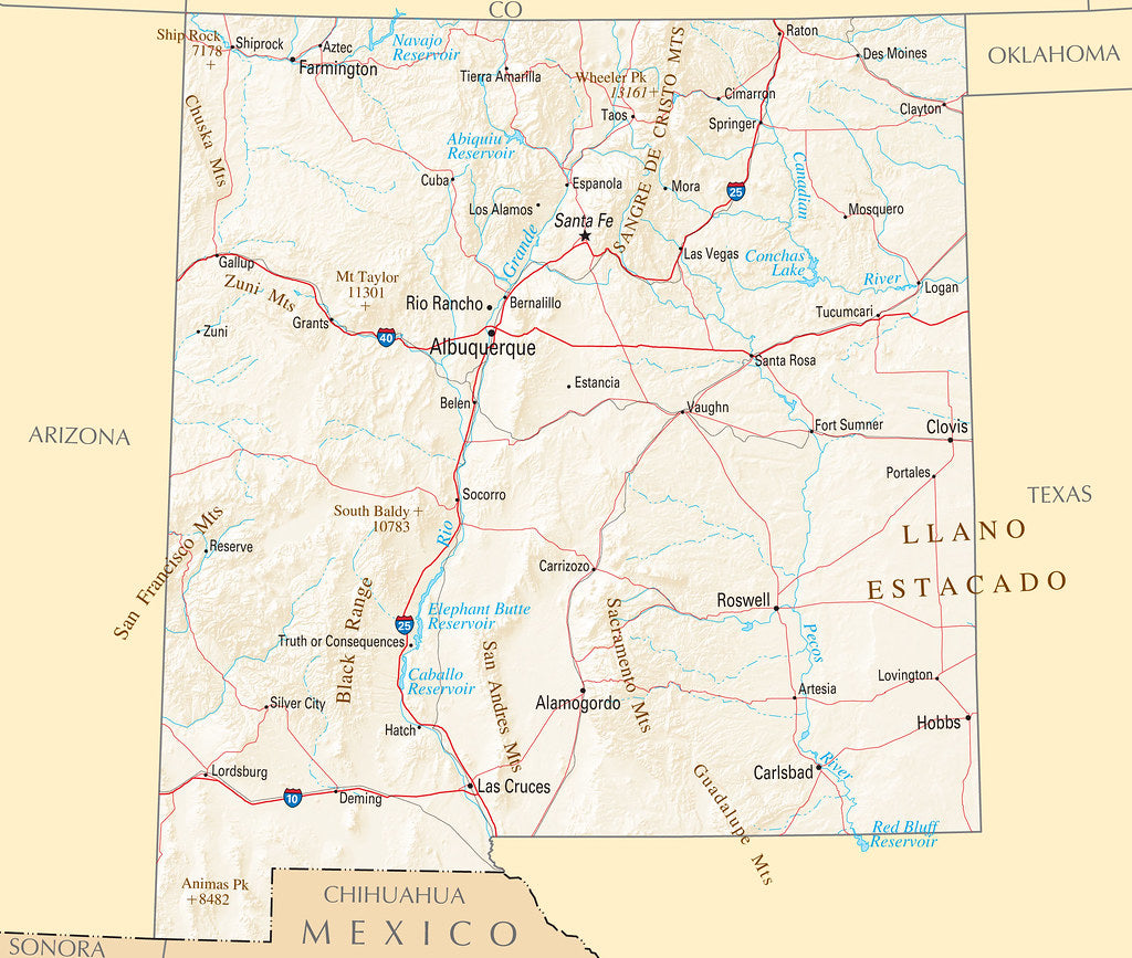 Map of New Mexico NM - Reference Map Framed Push Pin Map