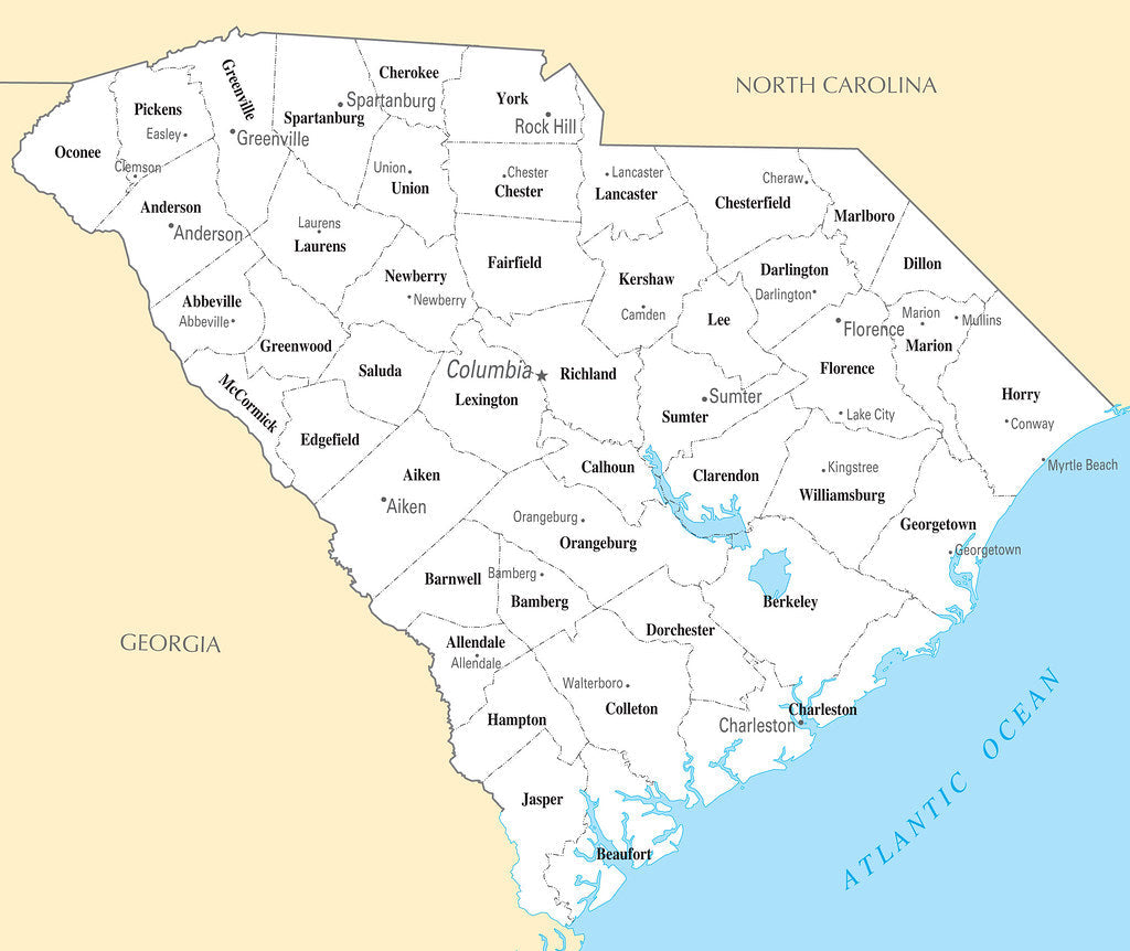 Map of South Carolina SC - County Map with selected Cities and Towns Framed Push Pin Map