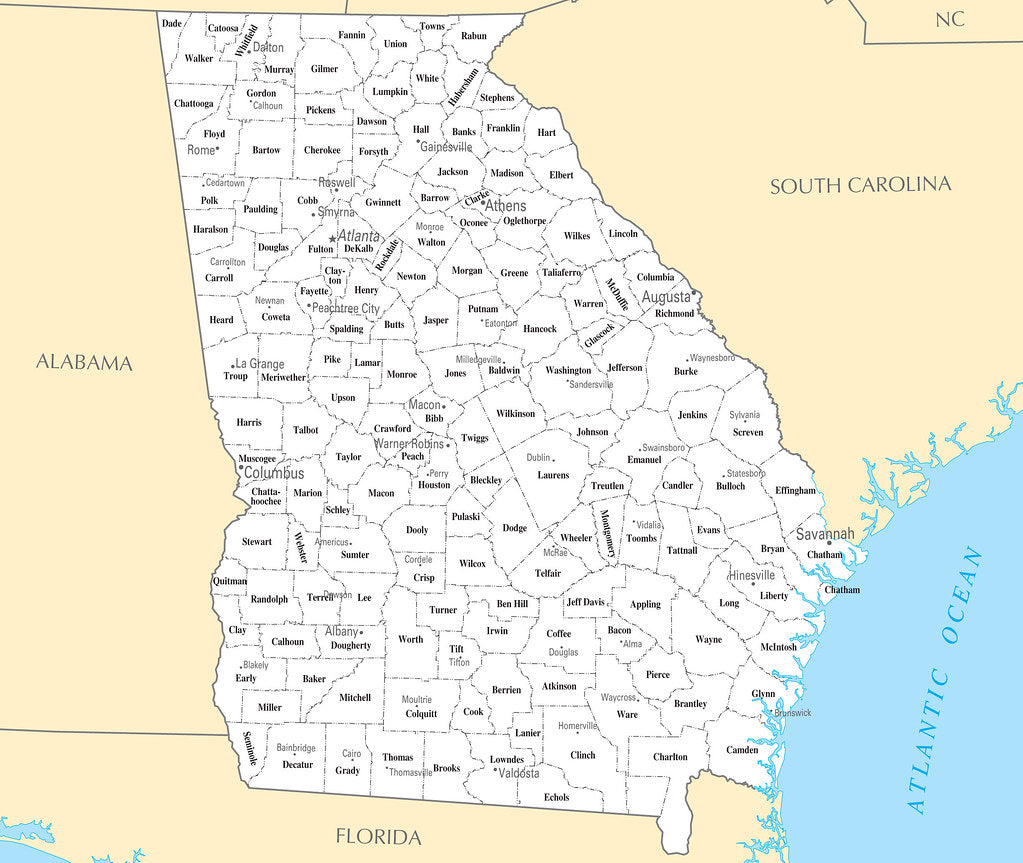 Map of Georgia GA - County Map with selected Cities and Towns Framed Push Pin Map