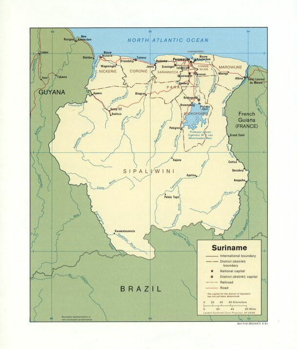 Map of Suriname Framed Push Pin Map
