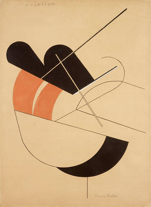 Francis Picabia Aviation - Hand Painted Oil Painting