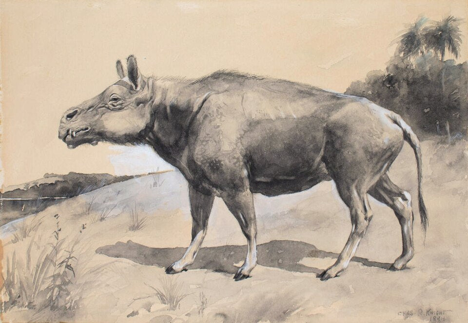 Charles R. Knight Entelodon - Hand Painted Oil Painting