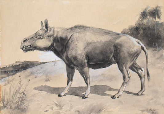 Charles R. Knight Entelodon - Hand Painted Oil Painting