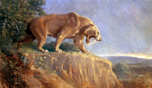 Charles R. Knight Smilodon - Hand Painted Oil Painting