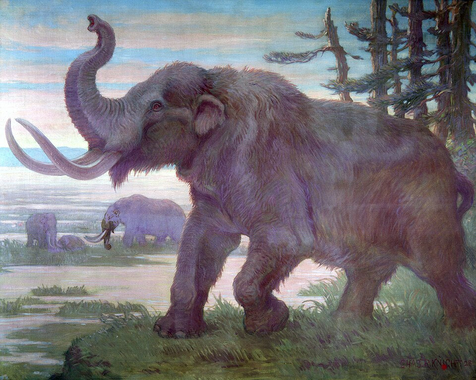 Charles R. Knight American mastodon from Cenozoic - Hand Painted Oil Painting