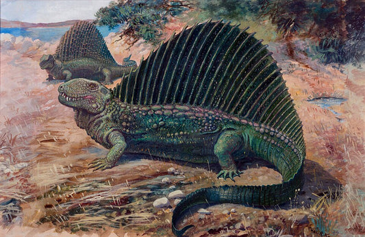 Charles R. Knight Dimetrodon - Hand Painted Oil Painting