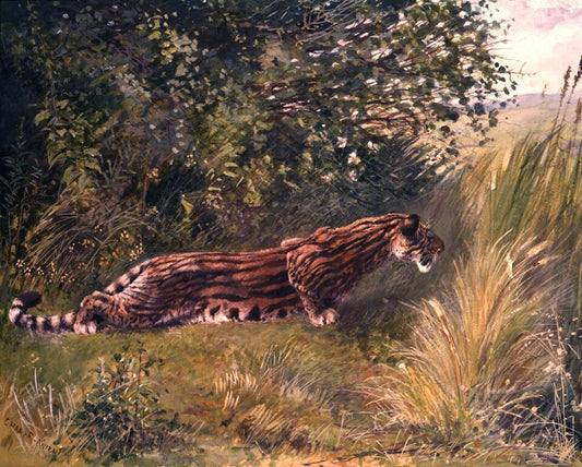 Charles R. Knight Hoplophoneus - Hand Painted Oil Painting