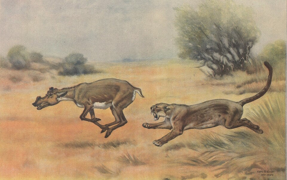 Charles R. Knight Dinictis and Protoceras - Hand Painted Oil Painting