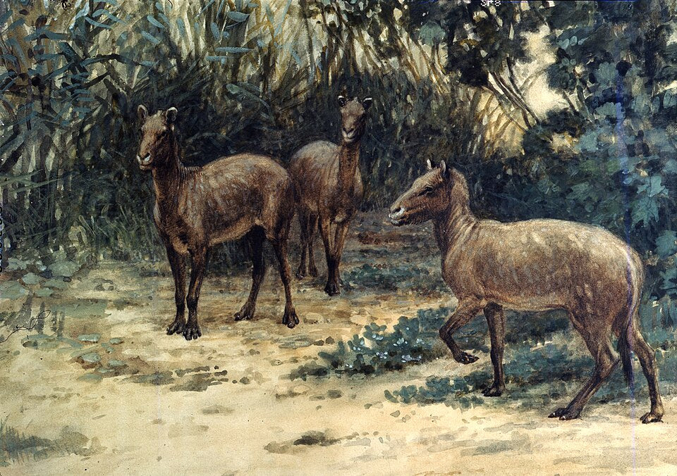 Charles R. Knight Eohippus - Hand Painted Oil Painting
