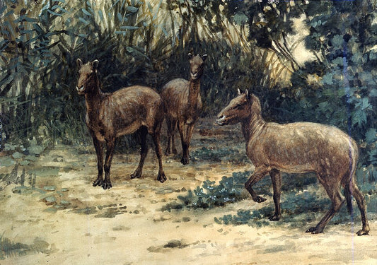 Charles R. Knight Eohippus - Hand Painted Oil Painting