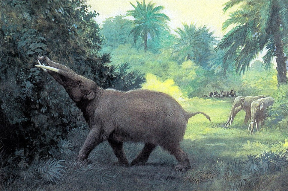 Charles R. Knight Gomphotherium - Hand Painted Oil Painting