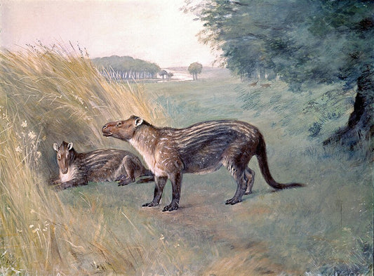 Charles R. Knight Phenacodus - Hand Painted Oil Painting