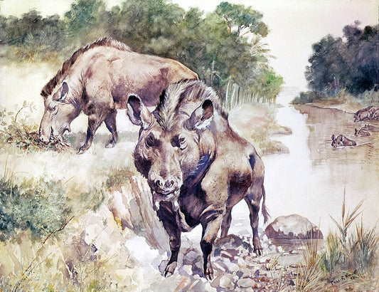 Charles R. Knight Entelodon - Hand Painted Oil Painting