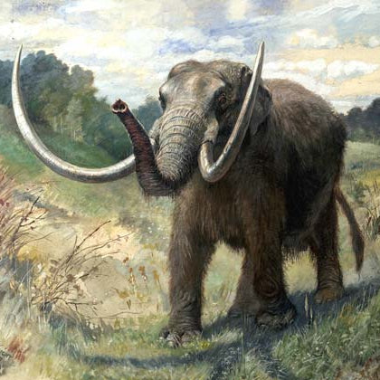 Charles R. Knight Mastodon - Hand Painted Oil Painting