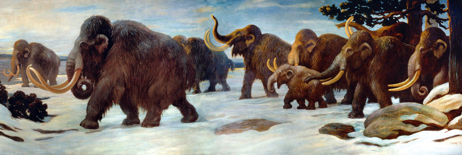 Charles R. Knight Wooly Mammoths - Hand Painted Oil Painting