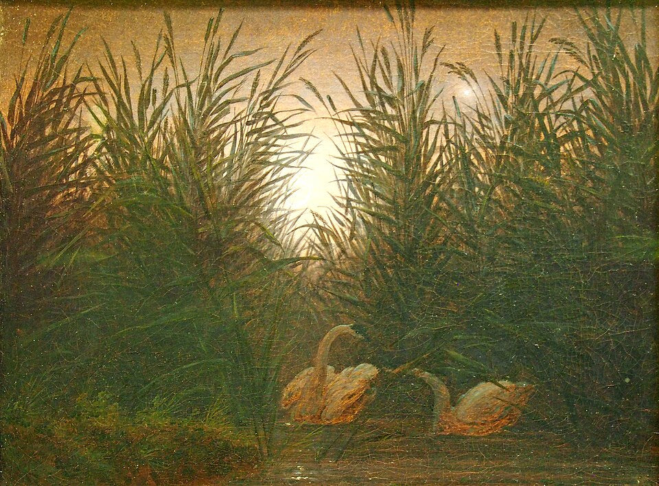 Caspar David Friedrich Swans in the Reeds?  - Hand Painted Oil Painting