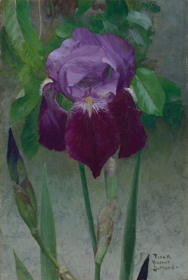 Frank DuMond Iris - Hand Painted Oil Painting