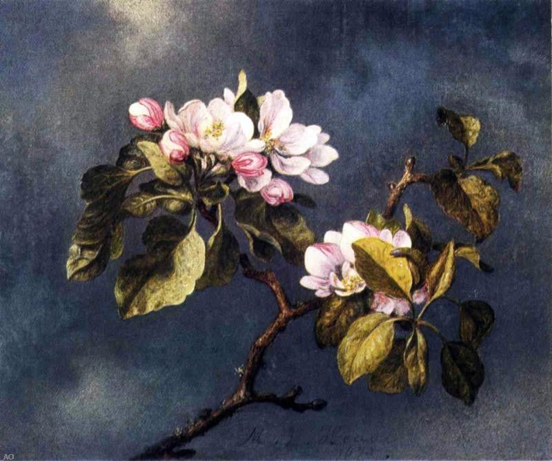  Martin Johnson Heade Apple Blossoms - Hand Painted Oil Painting