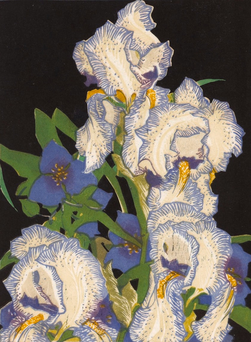 Franklin Carmichael Pencilled Irises - Hand Painted Oil Painting