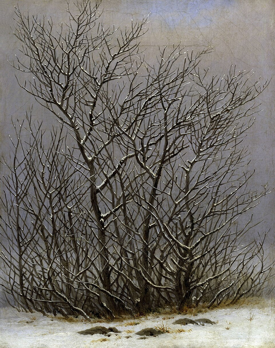 Caspar David Friedrich Trees and Bushes in the Snow - Hand Painted Oil Painting