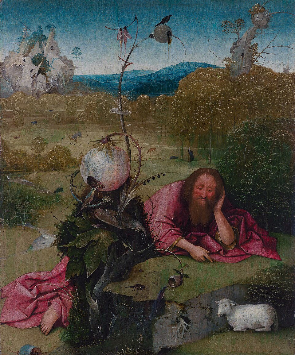Hieronymus Bosch St. John the Baptist in the Wilderness - Hand Painted Oil Painting