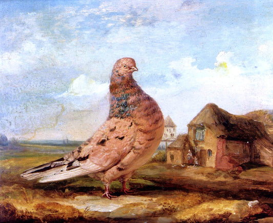  James Ward A Fancy Pigeon - Hand Painted Oil Painting