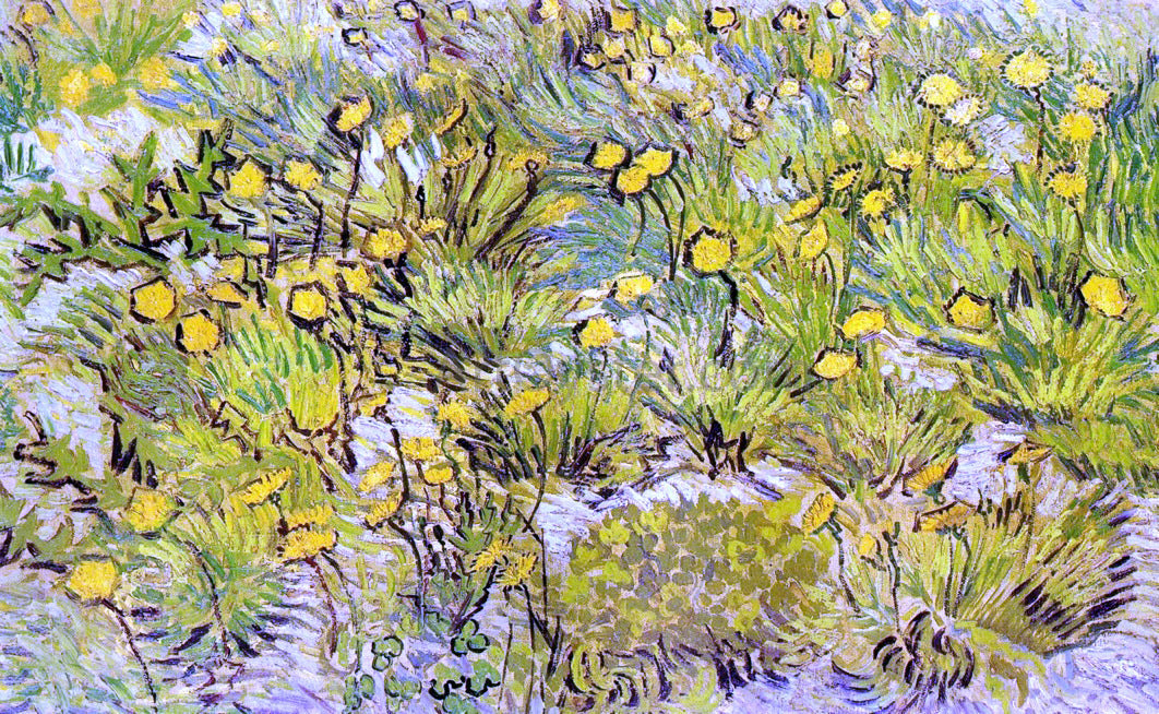  Vincent Van Gogh Field of Yellow Flowers - Hand Painted Oil Painting