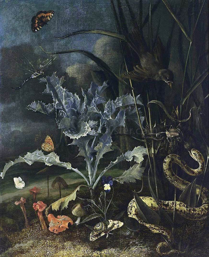  Otto Marseus Van Schrieck A Forest Floor Still-Life - Hand Painted Oil Painting