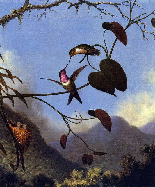  Martin Johnson Heade Amethyst Woodstar - Hand Painted Oil Painting