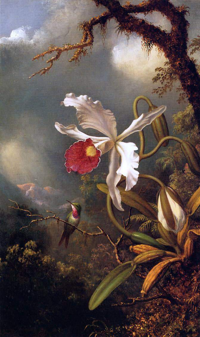  Martin Johnson Heade An Amethyst Hummingbird with a White Orchid - Hand Painted Oil Painting
