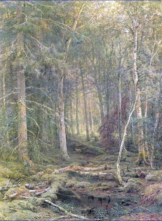  Ivan Ivanovich Shishkin Backwoods - Hand Painted Oil Painting