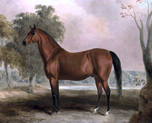  Edward Troye Bertrand, by Sir Archy - Hand Painted Oil Painting