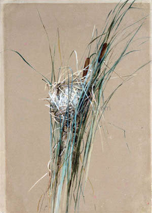  Fidelia Bridges Bird's Nest in Cattails - Hand Painted Oil Painting