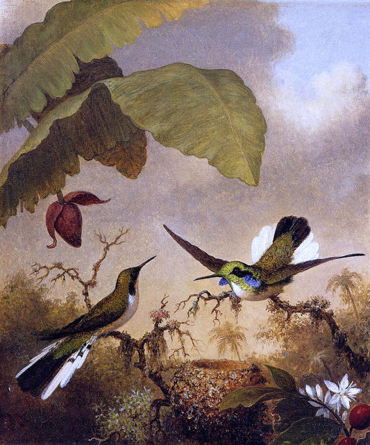  Martin Johnson Heade Black-Eared Fairy - Hand Painted Oil Painting