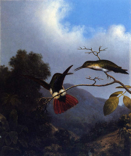  Martin Johnson Heade Black-Throated Mango - Hand Painted Oil Painting